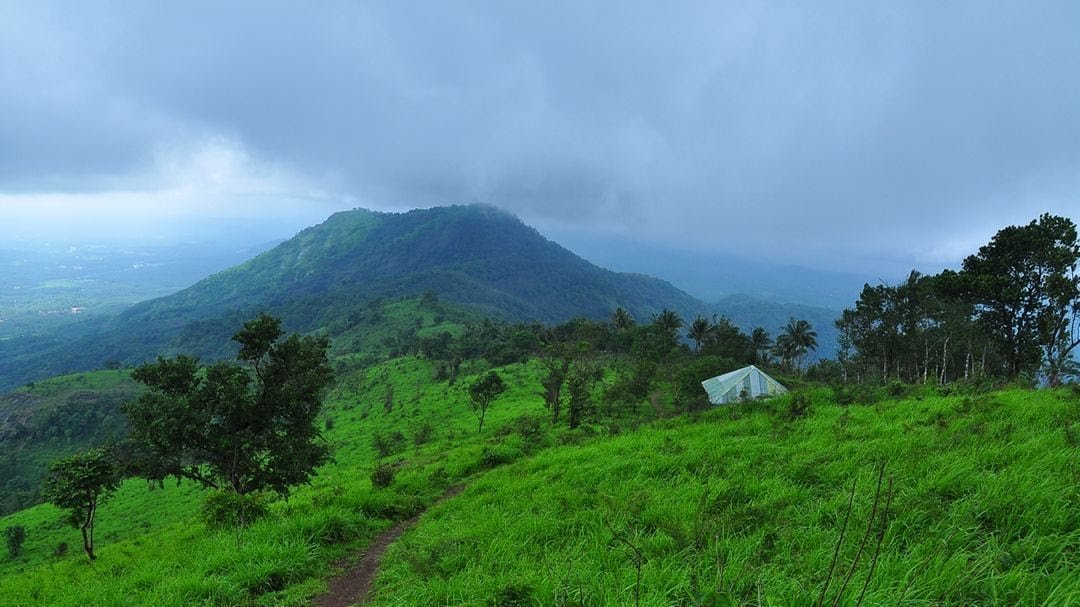 കൊടികുത്തിമലയിലേക്ക് സഞ്ചാരി പ്രവാഹം; വരുമാനം ഒരുകോടി കവിഞ്ഞു