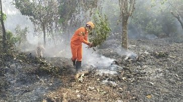 അപ്രതീക്ഷിത കാറ്റിൽ കിട്ടിയത് എട്ടിന്റെ പണി; കത്തിപ്പോയത് ലക്ഷങ്ങളുടെ മുതൽ, കശുമാവിന്‍ തോട്ടം കത്തിനശിച്ചു